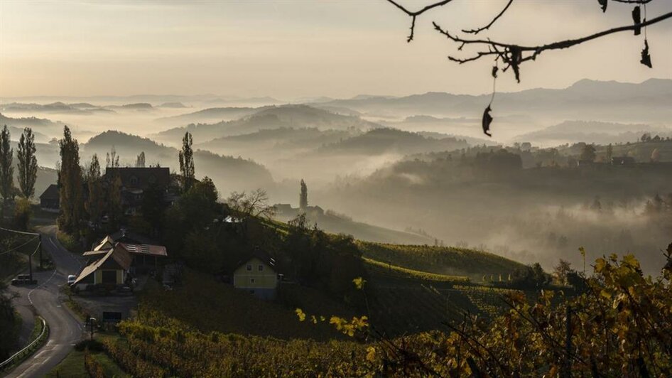 Landschaft Kästenburg | © KulturWeingut Kästenburg