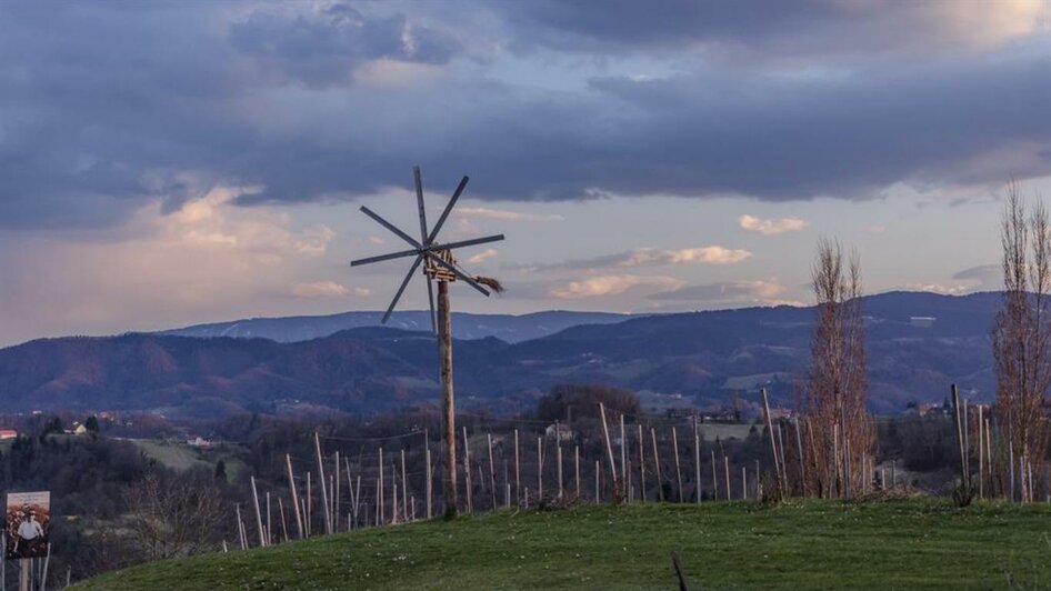 Stimmungen | © KulturWeingut Kästenburg