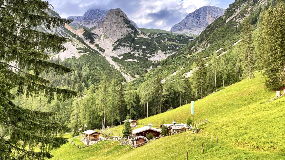 Almfläche | © ©KajetanGerharter 