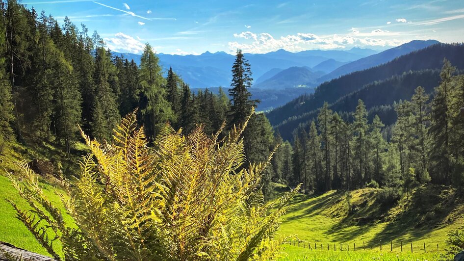 Blick ins Tal  | © ©KajetanGerharter 