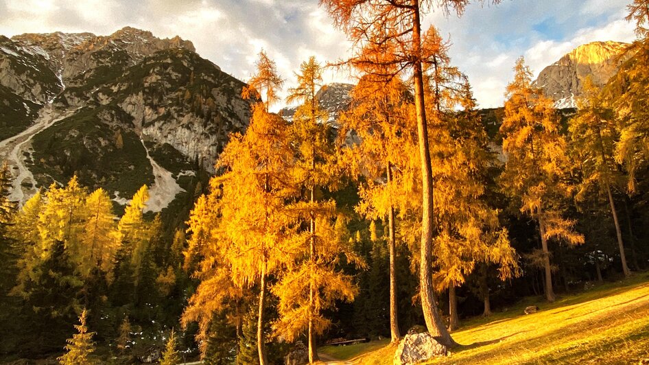 Goldener Herbst  | © ©KajetanGerharter 