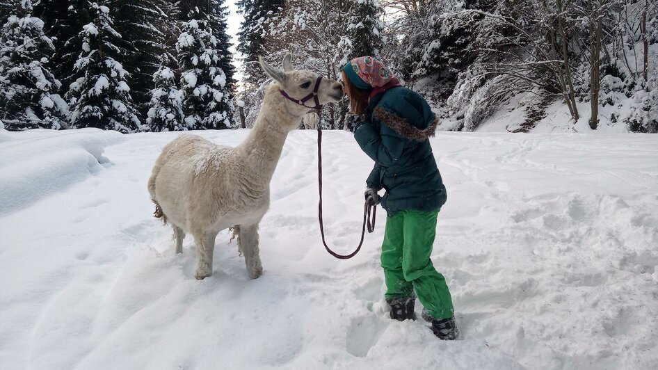 Winter Lamakuss | © LamaTour-Gigleitner