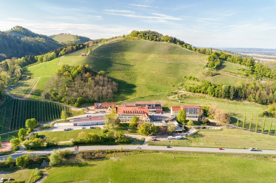 Landesweingut & Bildungszentrum für Obst- und Weinbau  Silberberg - Impression #1 | © Mario Gimpel / FS Silberberg