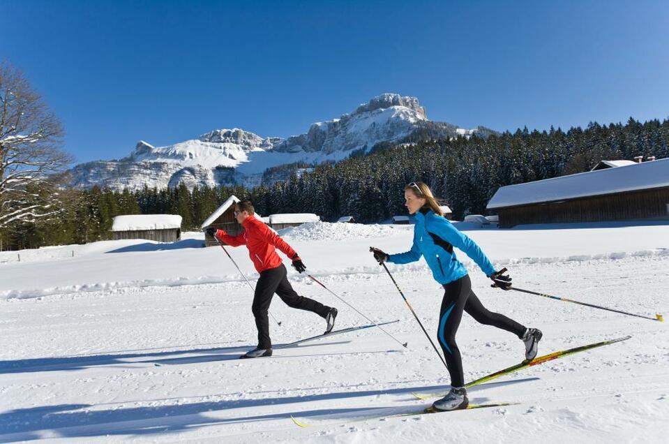 Langlauf-Loipen Altaussee - Loser - Impression #1 | © Leo Himsl / TVB Ausseerland - Salzkammergut/L. Him