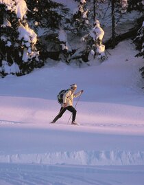 LoipePöls-Langlaufen-Murtal-Steiermark | © Langlaufloipe Pöls | Langlaufloipe Pöls | © Langlaufloipe Pöls