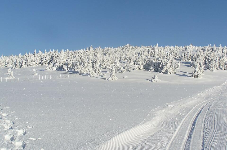 Cross country ski rental Rabl-Kreuz-Hut - Impression #1 | © Tourismusverband Oststeiermark