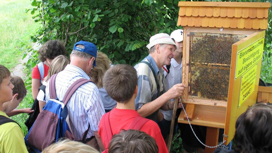 Bienenlehrpfad_Führung_Oststeiermark | © Josef Moritz