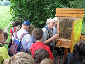 Bienenlehrpfad_Führung_Oststeiermark | © Josef Moritz