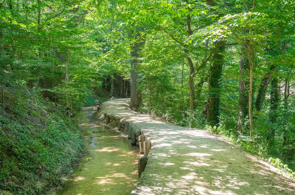 Lehrpfad NaturKRAFTpark - Impression #1 | © Helmut Schweighofer