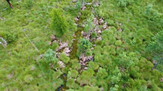 aerial view moor | © TVB Bad Waltersdorf