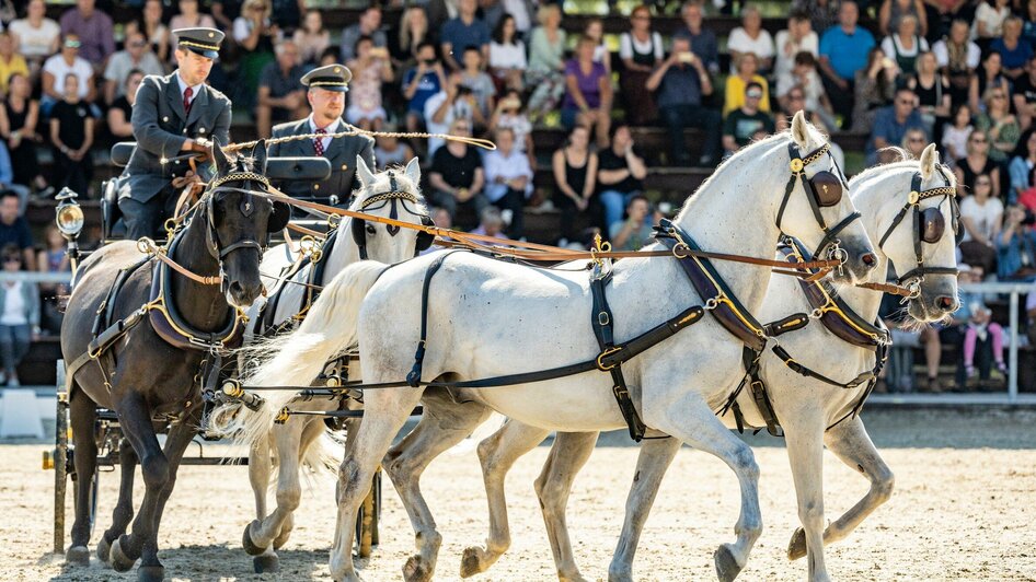 Lipizzanergestüt Piber | © SHS-LipizzanergestütPiberGöR - René van Bakel