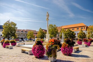 Mariensäule am Hauptplatz | © Wolfgang Spekner