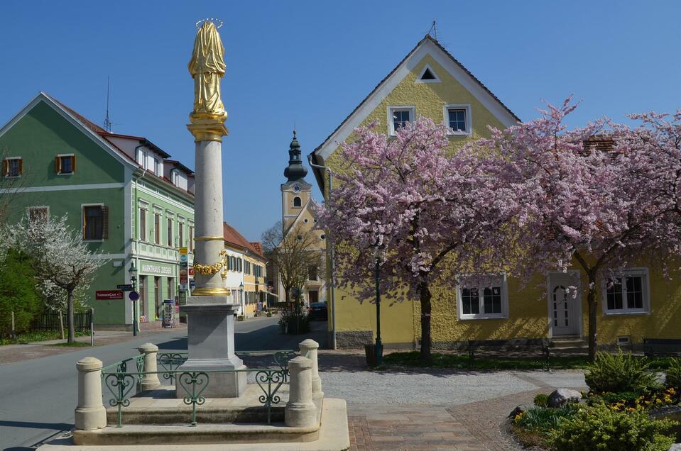 Marian column in Bad Waltersdorf - Impression #1 | © Lederer Josef