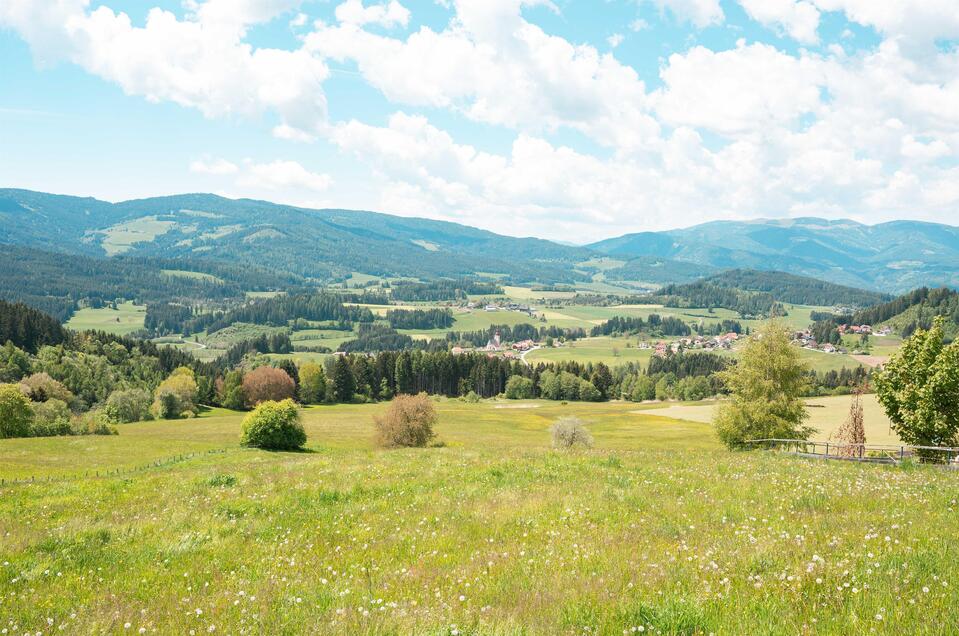 Marienwasserfall - Impression #1 | © Tourismusverband Murau