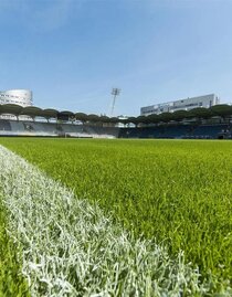 Merkur Arena | © MCG-Krug | © MCG-Krug