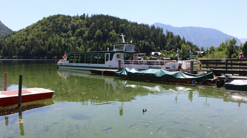 Schifffahrt, Altaussee, Solarschiff mit Fische | © Viola Lechner