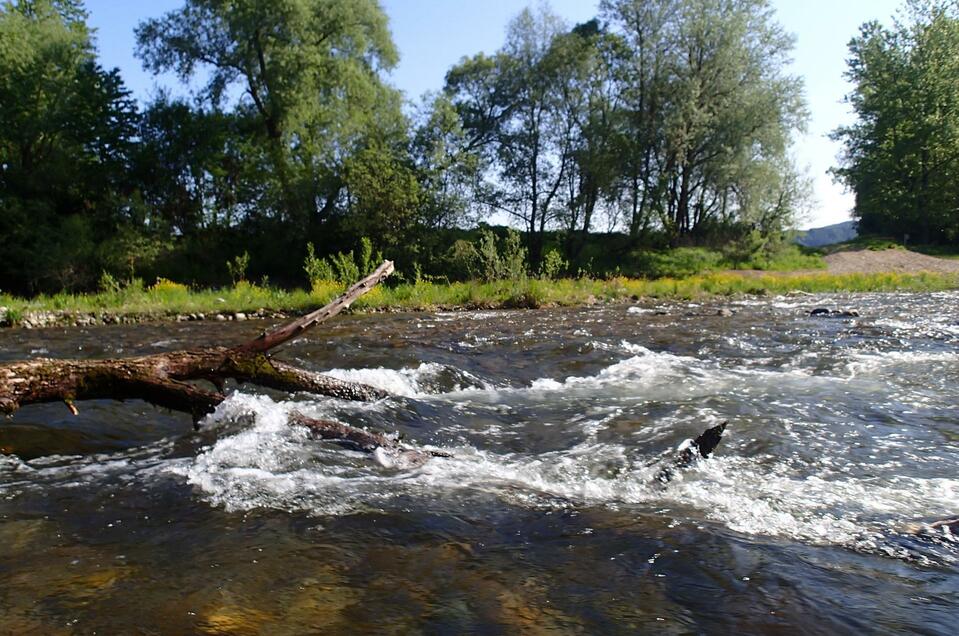 Mur River meadows Lobmingtal - Impression #1 | © Anita Fössl