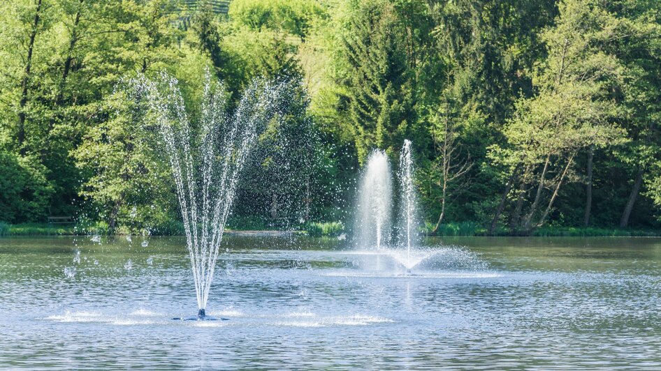 Naturerholungszentrum Grafenteich | © Lipizzanerheimat - Die Abbilderei