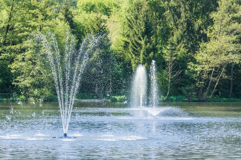 Grafenteich local recreation centre in Voitsberg - Impression #1 | © Lipizzanerheimat - Die Abbilderei