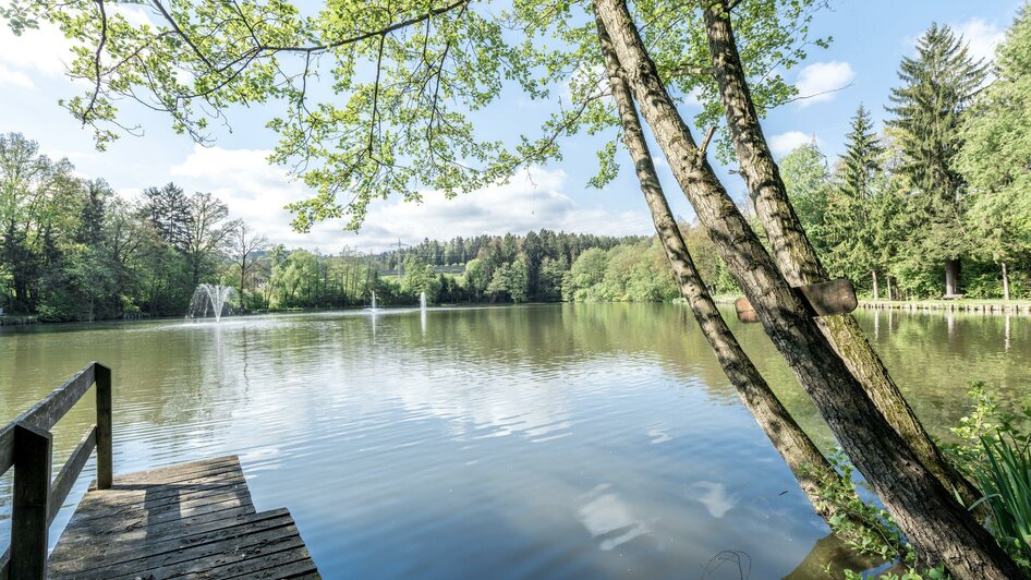 Naturerholungszentrum Grafenteich | © Lipizzanerheimat - Die Abbilderei