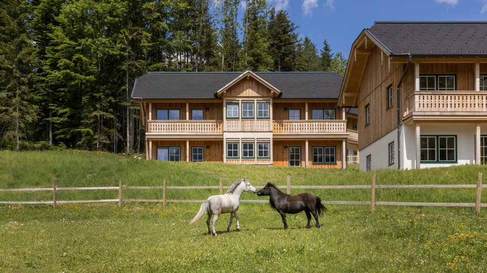 Dorfteil Musikantenwald mit Ponys