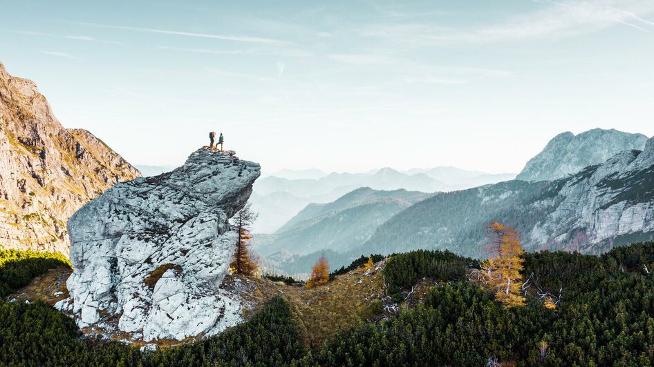 Sulzkarhund im Nationalpark Gesäuse | © Stefan Leitner