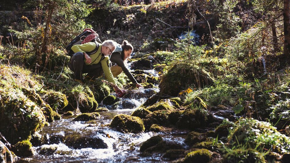 Wandern im Nationalpark Gesäuse | © Stefan Leitner