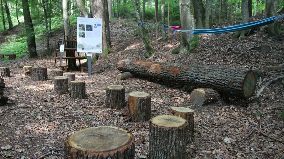 Bad Blumau Waldspielplatz | © OIKOS