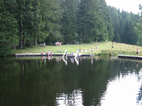 Naturbadeteich Rettenegg_Teich_Oststeiermark | © Naturbadeteich Rettenegg