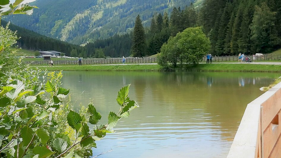 Teichalmsee_Ausblick_Oststeiermark | © Tourismusverband Oststeiermark