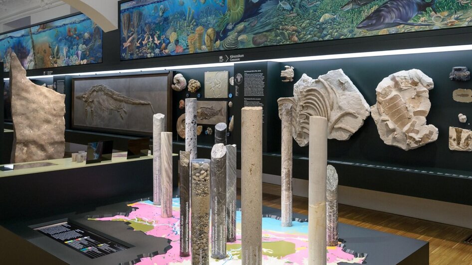 Fossilien-Ausstellung im Naturkundemuseum Graz | © UMJ-N. Lackner