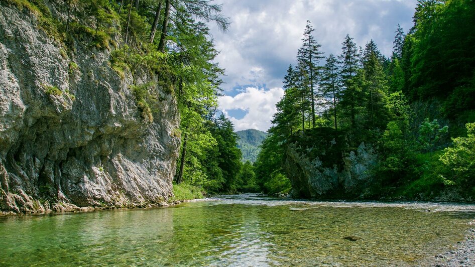 Wasser und Wald im Naturpark | © Naturpark Mürzer Oberland