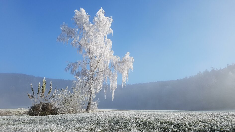 NUP Pöllauer Tal_Winter_Blick ins Pöllauer Tal | © Tourismusverband Oststeiermark