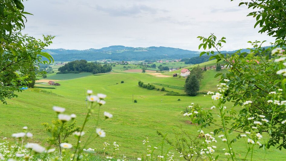 Naturpark Südsteiermark | © RM SW GmbH | webquartier.at