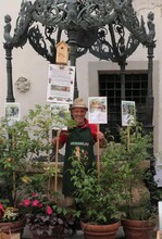 Gerhard Rakovic | © Gerhard Rakovic