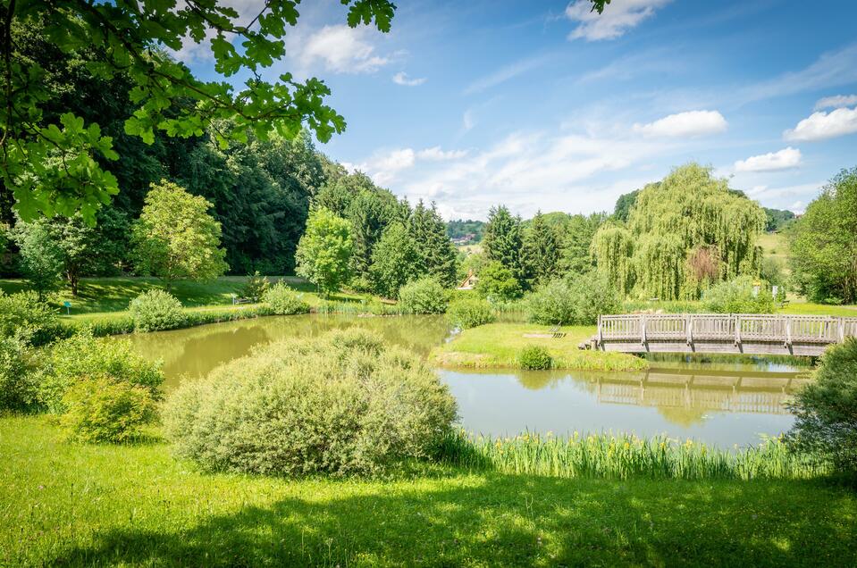 Natural pond area with Celtic tree circle path - Impression #1 | © Hannes Wagner