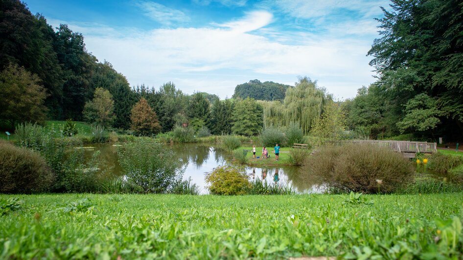 Natural pond area with Celtic tree circle path - Impression #2.3