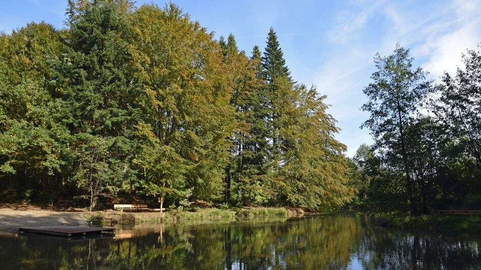 Nymphenweiher in Niedergams | © Stadtgemeinde Deutschlandsberg