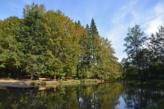 Nymphenweiher in Niedergams | © Stadtgemeinde Deutschlandsberg