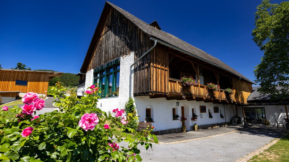 Herbstwein Hof | © TV Region Graz-Harry Schiffer