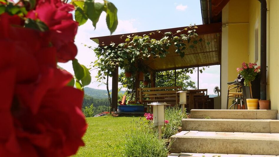 Obst- und Weinbauernhof Bernhard Terrasse | © Familie Bernhard | Weinbauernhof Bernhard