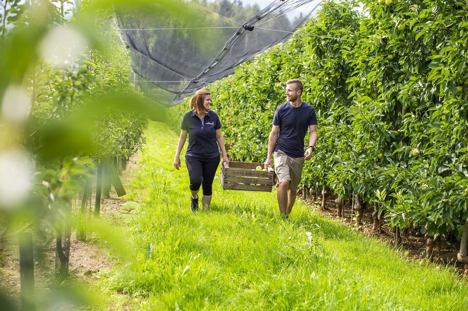 Fruit farm Schneeflock - Impression #1 | © Obsthof Schneeflock