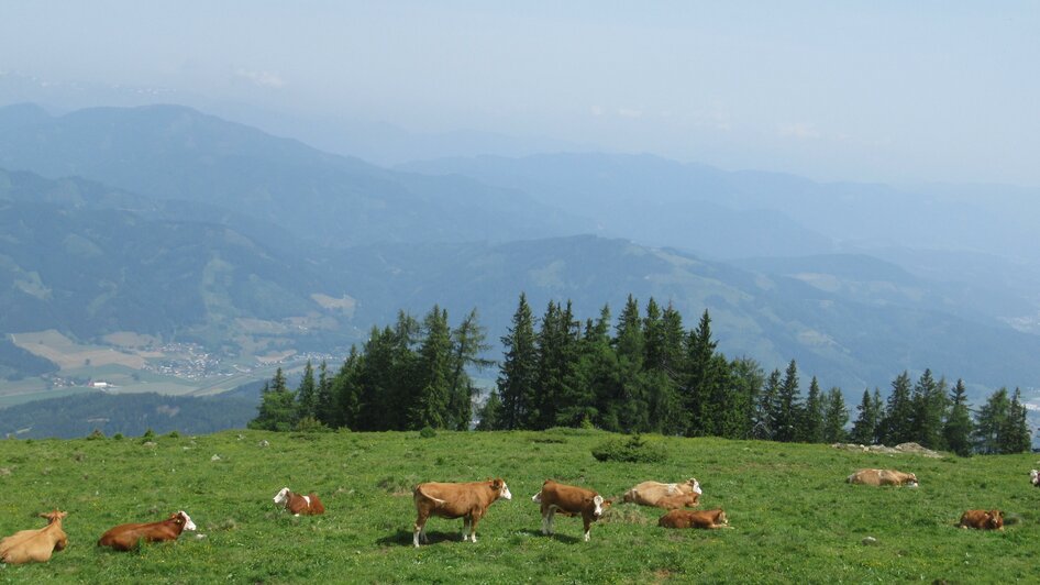 Ochsenstall | © TV ERZBERG LEOBEN