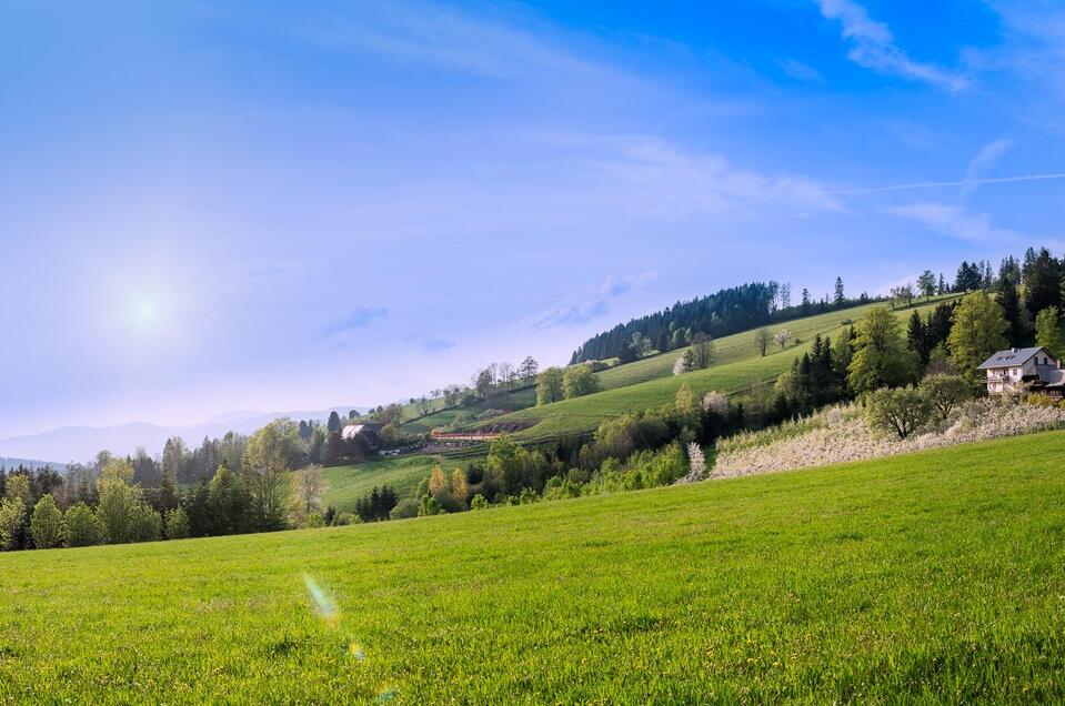 Panoramaplatz Graf - Impression #1 | © Oststeiermark Tourismus