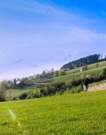 Aussichtspunkt_Panoramaplatz Graf_Almenland | © Oststeiermark Tourismus | Michael Graf | © Oststeiermark Tourismus