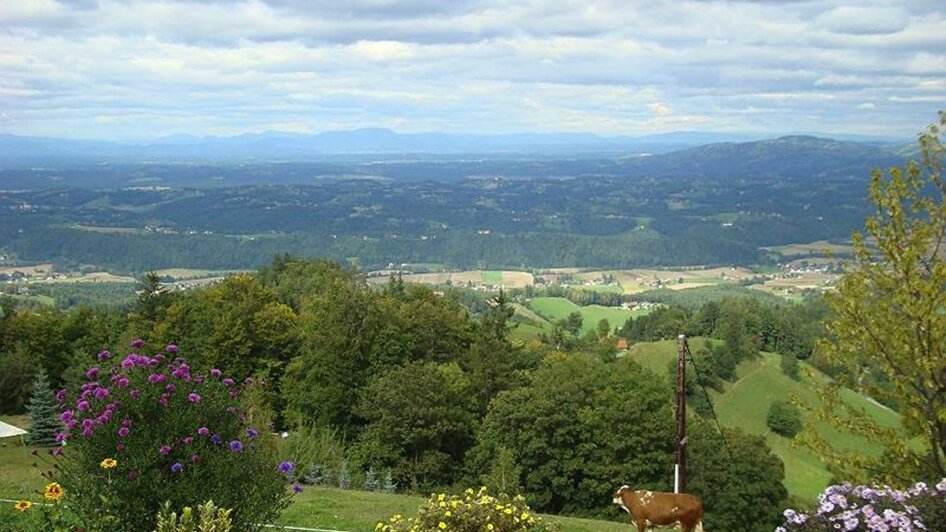 Panoramaschenke Tertinek Aussicht | © Panoramaschenke Tertinek | Fam. Tertinek