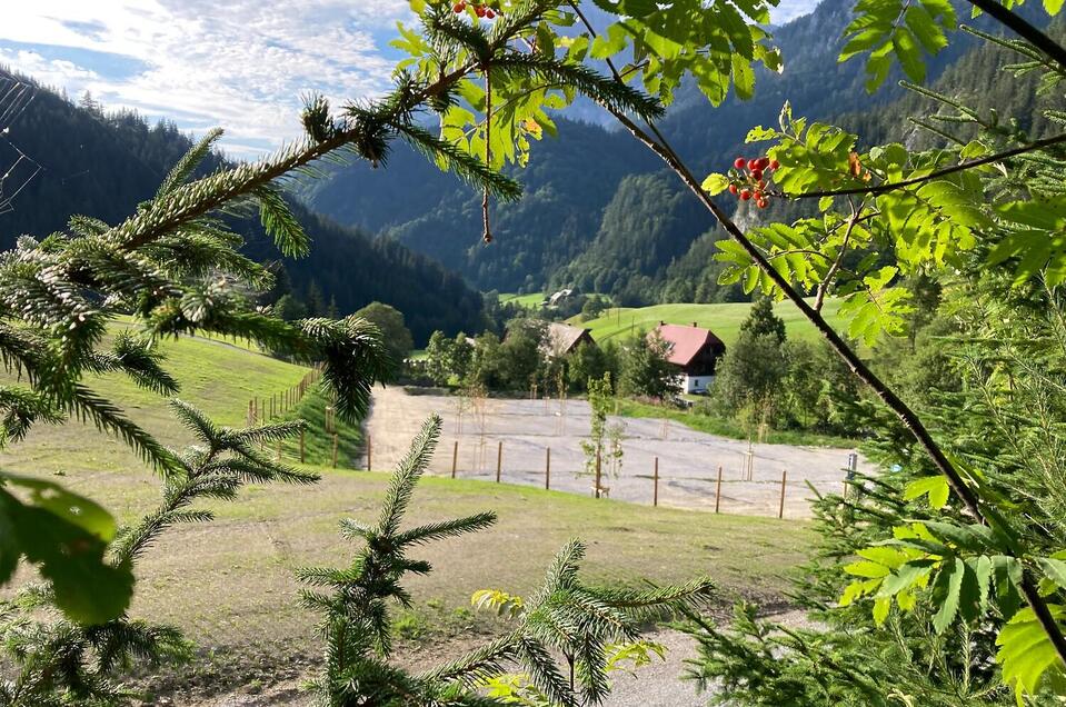 Parkplatz Gscheidegger | Herbert Wölger Parkplatz Gscheidegger - Impression #1
