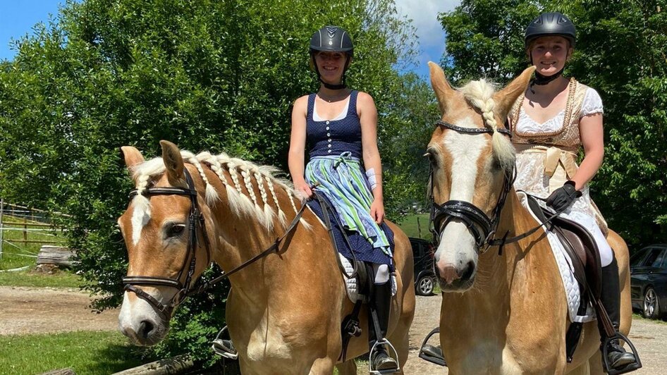 Haflinger Show bei den Pferdefreunden Zloam | © Pferdefreunde Zloam