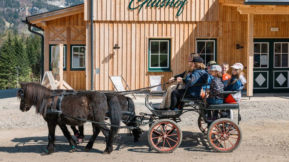 Ponykutsche der Pferdefreunde Zloam | © Pferdefreunde Zloam, www.pferdefreunde-zloam.at