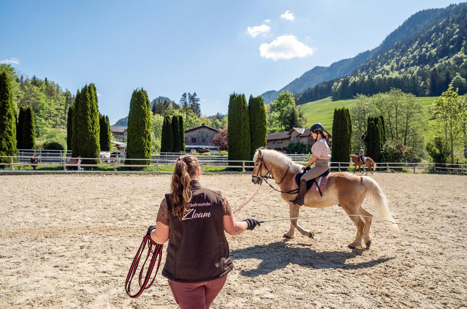 Riding school riding center Ausseerland - Pferdefreunde Zloam - Impression #1 | © www.zloam.at